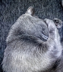 Nie mogę paczeć, jak ta moja Pani dzisiaj bałagani:-/