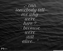 we are still alive...