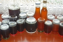 Miodzik z mniszka lekarskiego / syrop