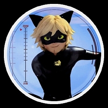 Buenos Chat Noir