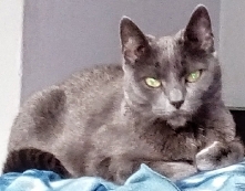 Jak policzę do 4-ech, dasz mi jeść!