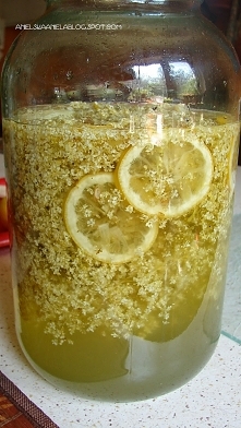 Syrop z czarnego bzu przepis