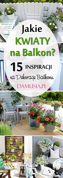 Jakie Kwiaty na Balkon? TOP 15 Propozycji na Dekorację Balkonu Kwiatami