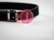 identyfikator dla psa 25mm_ by Wystrój Zwierza