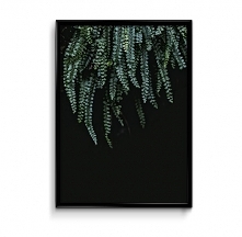 Liście #2  plakat
