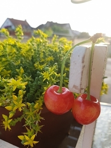 Sezon na kolczyki uważam za otwarty :)