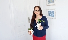 Rośliny w kubkach 
HAART bl...