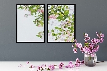 Dwa plakaty - kwiaty