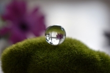 Magiczny sklep Chata Stwora