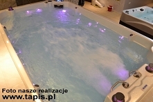 Wellness II - minibasen pływacki serii Wellness Spas od Coast Spas. Importer: TAPIS.PL