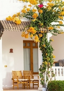 .....................