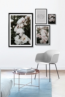 Róże - zestaw plakatów