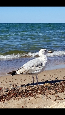Popołudnie na plaży