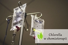 Chlorella w chemioterapii