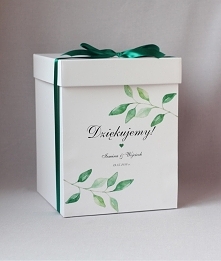 eukaliptus pudełko na kopert