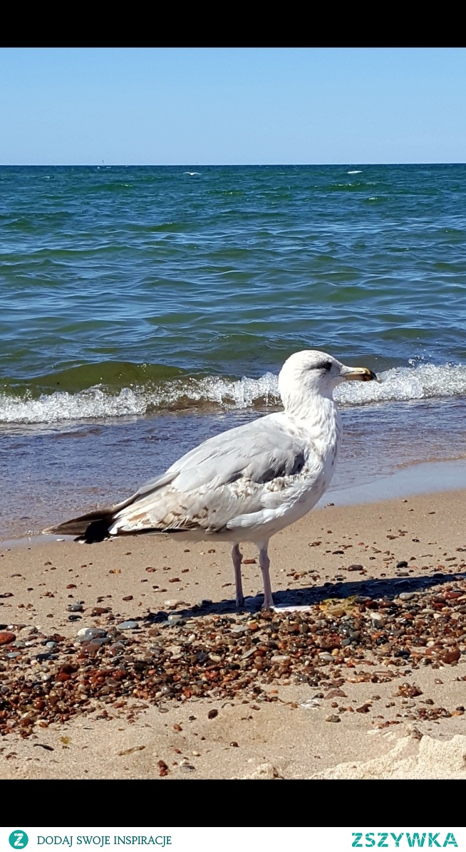 Popołudnie na plaży