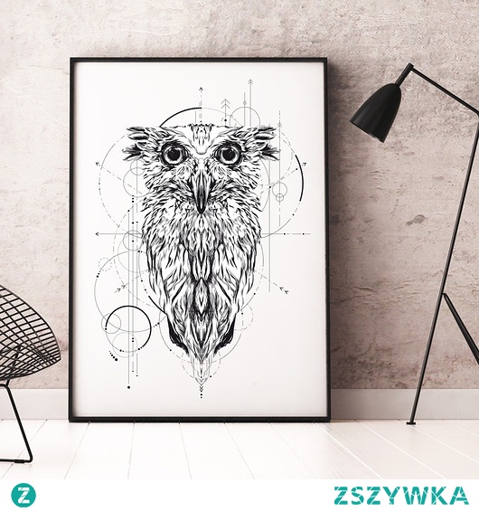 Plakat Sowa 70x100 cm - B1