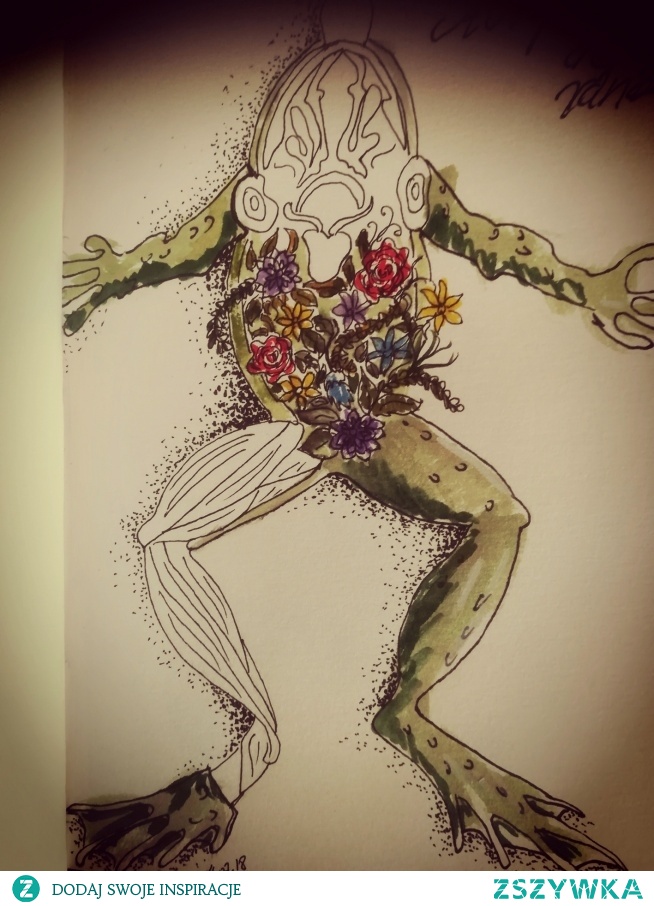 #frog#flowers#draw