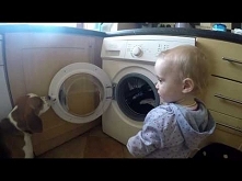 Piesek i dziecko robią razem pranie