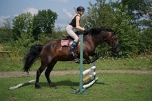 Powolutku idziemy do przodu, powrót do stajni po obozie jeździeckim na którym udało mi się zdać BOJ. Wracamy do treningów a za rok atakujemy srebro ♥