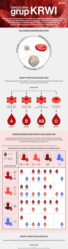 Jak dziedziczymy grupę krwi i czynnik Rh? Sprawdź, jaką grupę krwi może mieć twoje dziecko [INFOGRAFIKA]