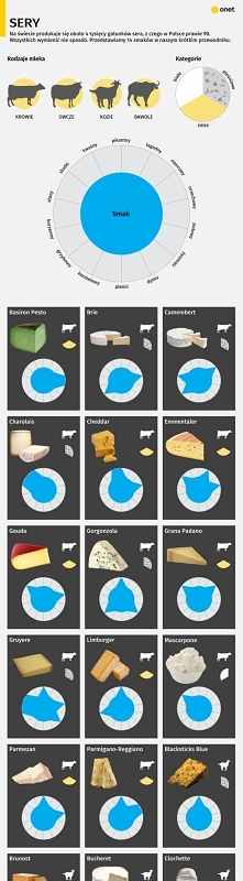 Przewodnik po serach świata [INFOGRAFIKA]