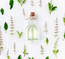 borelioza - jak wyleczyć boreliozę za pomocą ziół? Jak się wyleczyć samemu z boreliozy