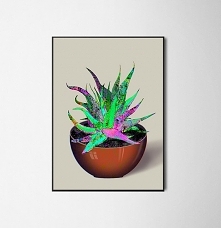 aloe vera A3