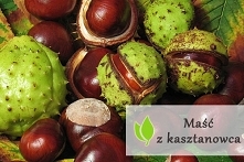 Maść z kasztanowca - właści...