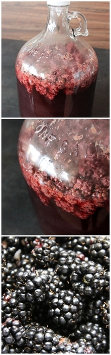 Wino z kompotu jeżynowego <3 piwniczkachomika.pl