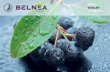 NIESAMOWITE WŁAŚCIWOŚCI ARONII!

Owoce aronii uznawane są za symbol zdrowia i stanowią prawdziwą bombę witamin oraz antyoksydantów. Co ciekawe Polska jest jedynym krajem w Europ...