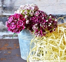 Porozmawiajmy - zespół policystycznych jajników teoria - część druga