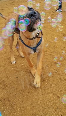 W bańkowyn raju ...