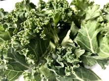 Jarmuz i jego właściwości