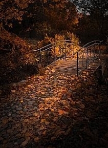 liście - jesień ♥