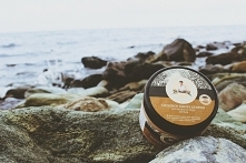 Kubuś Puchatek go uwielbiał ➡ MIÓD 