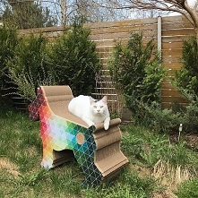 Paperdog drapak- leżanka dla kota