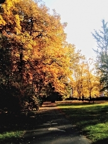 „Jesień"  — 

Zanurzać zanurzać się 
w ogrody rudej jesieni 
i liście zrywać kolejno 
jakby godziny istnienia 
Chodzić od drzewa do drzewa 
od bólu i znowu do bólu 
cichutk...