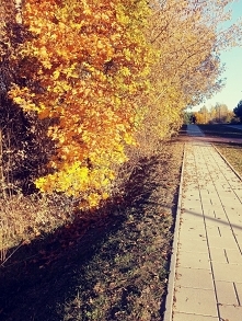 Spacer, miła forma relaksu!