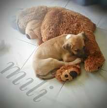 jeszcze 2 miesiące temu byłem ,,mały''