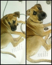 Ja czekam na kąpiel ludzie....wykąp mnie proszeeeeee.........