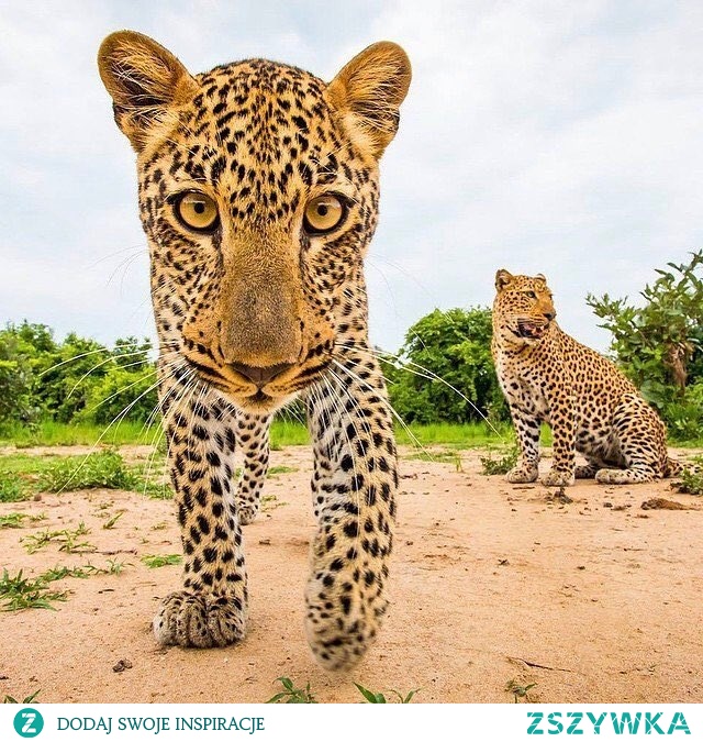 *.*