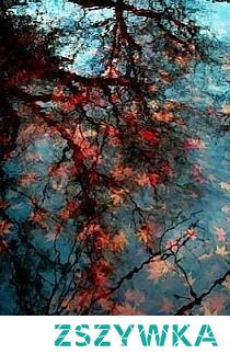 ........................