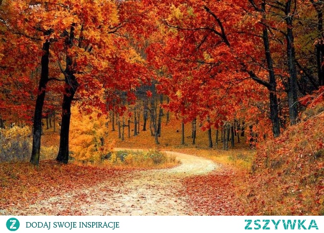 Jesienny czar!