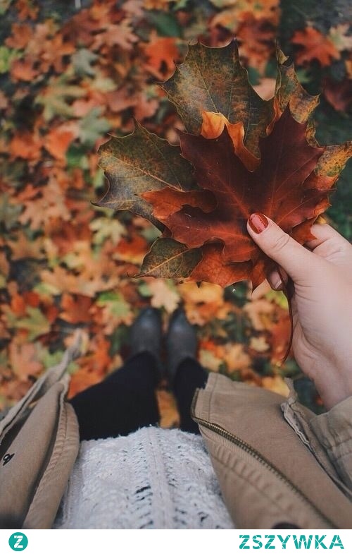 Jesienne liście