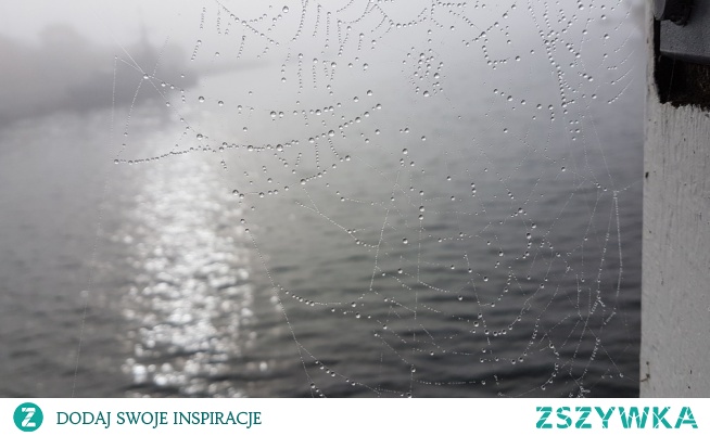 przypadkiem uchwycone...