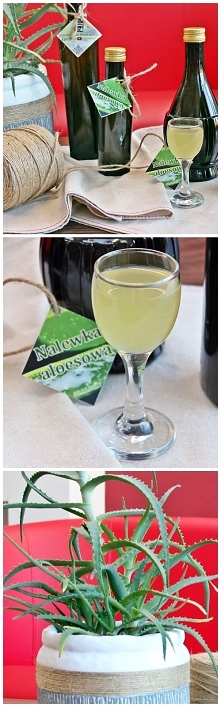 Grzejmy się! piwniczkachomika.pl
#autumn #aloe #recipe #RecipeOfTheDay #recipeblog