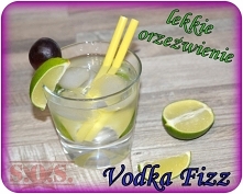 Drink Vodka Fizz - lekko słodki orzeźwiający drink z wódką;)