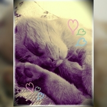 zedytowane zdjęcie mojego kotka ;).