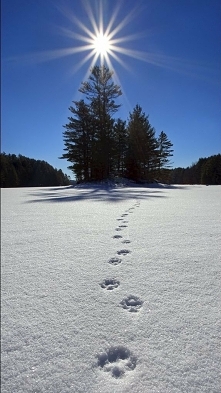 Każdy ma swoje ścieżki.